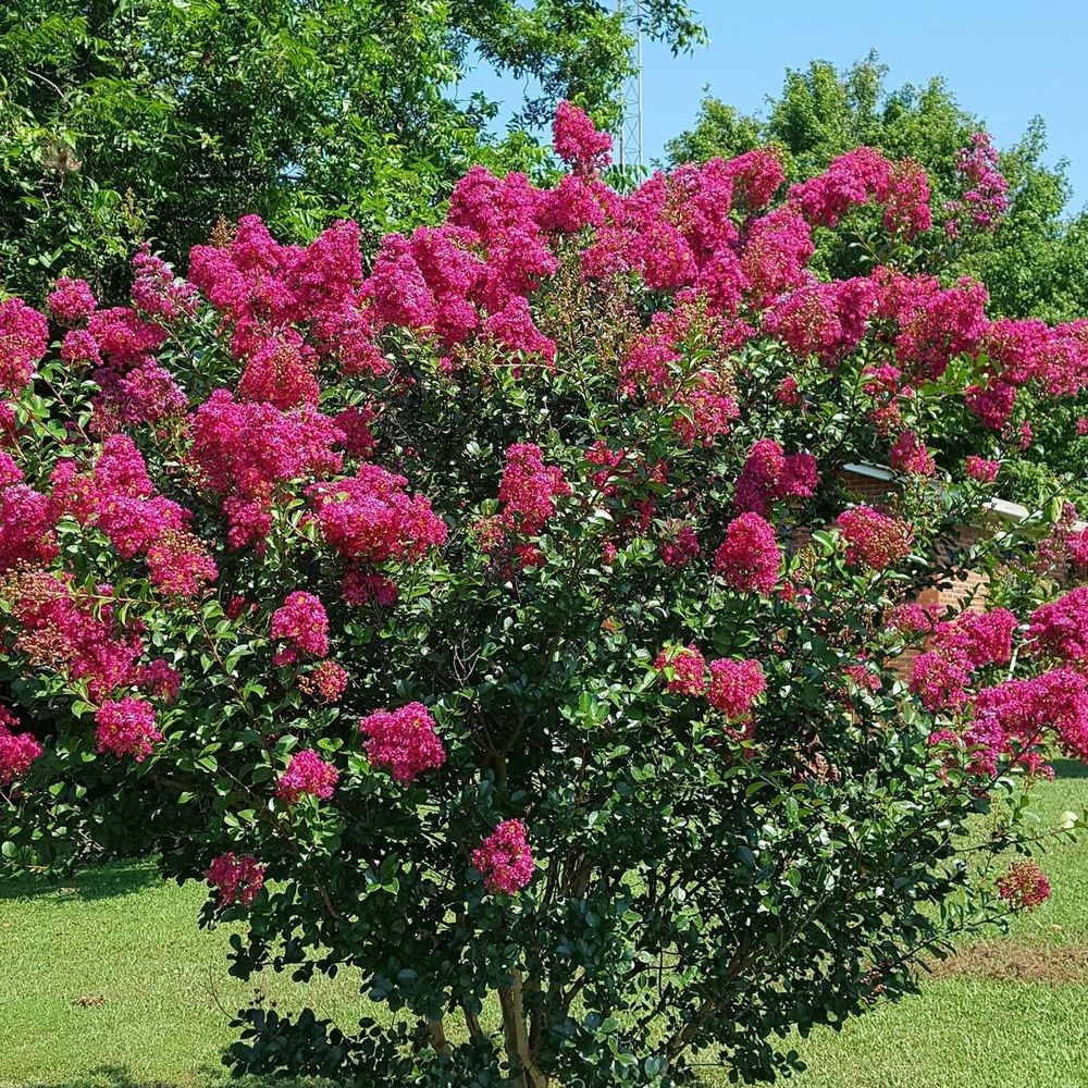 Meet your Posher, Evelyn